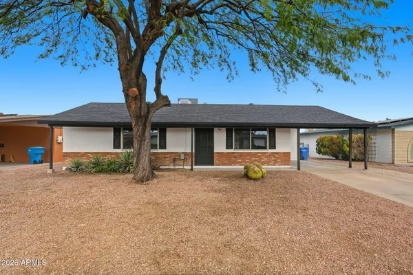 a view of a house with backyard and a tree