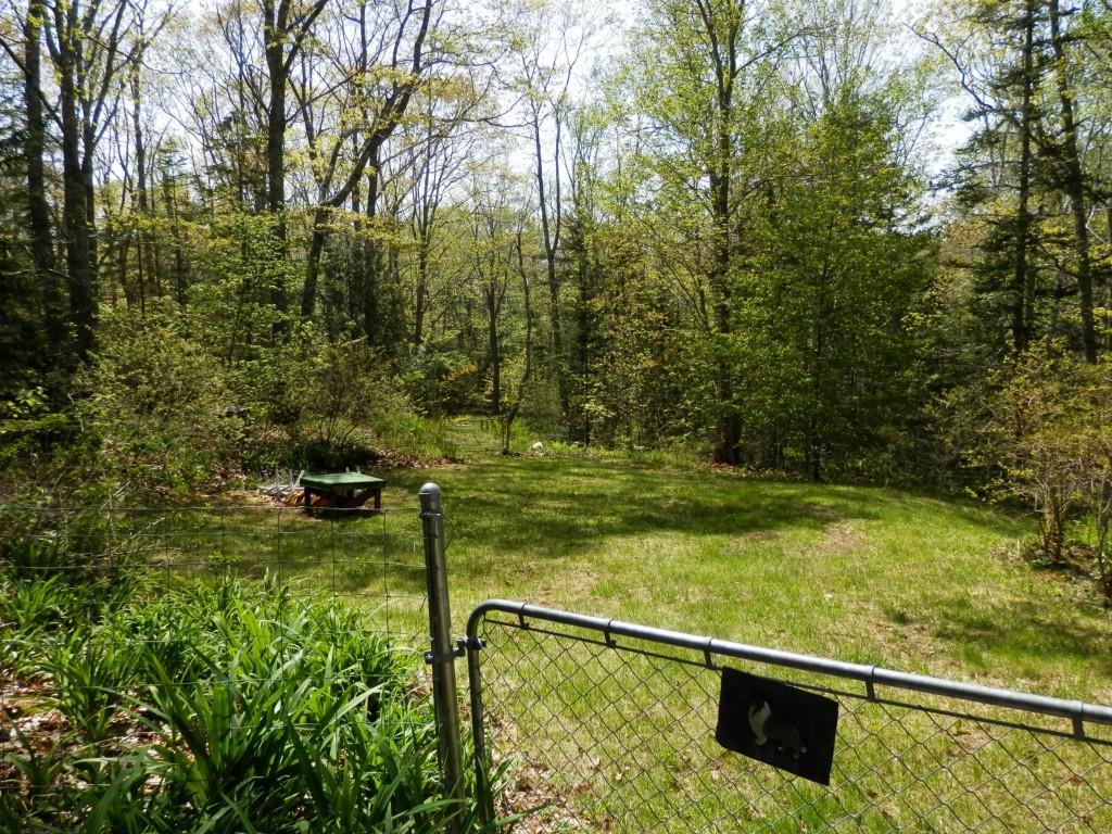 56 Hathorn Point Road Tenants Harbor, ME 04860 - Photo 27 of 34 Enclosed yard for pets.