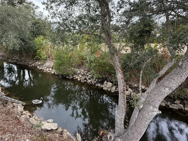a view of a tree in a yard