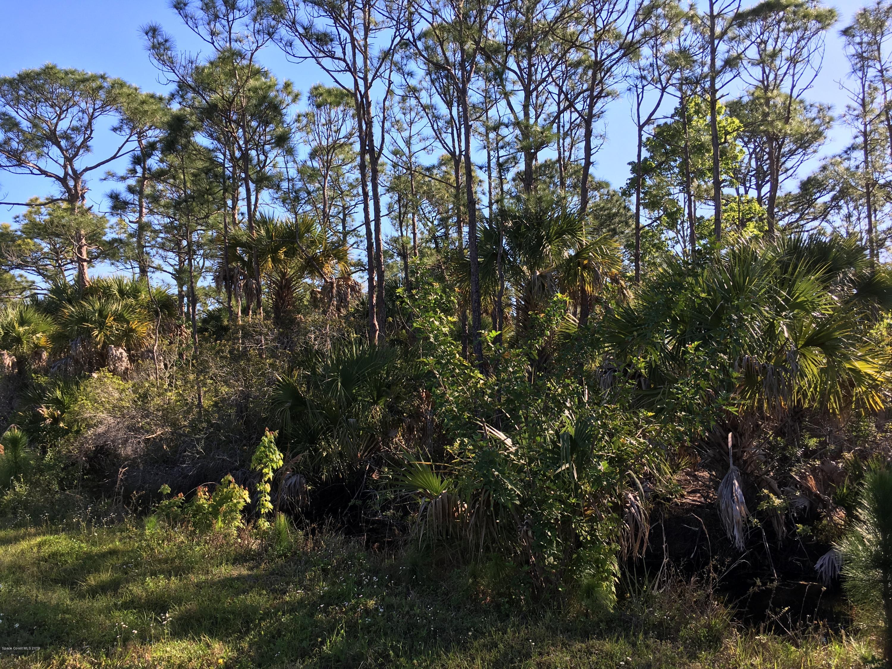 1 Corey Road Grant Valkaria, FL 32950 - Photo 5 of 11 3
