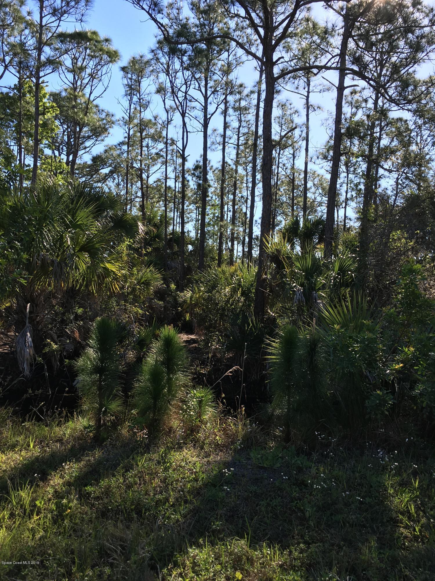 1 Corey Road Grant Valkaria, FL 32950 - Photo 7 of 11 5