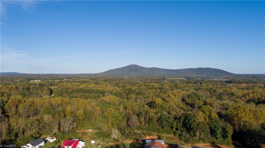 Tbd Old Winston Road Pinnacle, NC 27043 - Photo 2 of 7