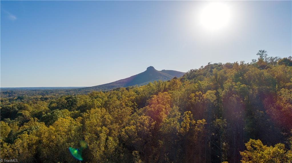 Tbd Old Winston Road Pinnacle, NC 27043 - Photo 3 of 7