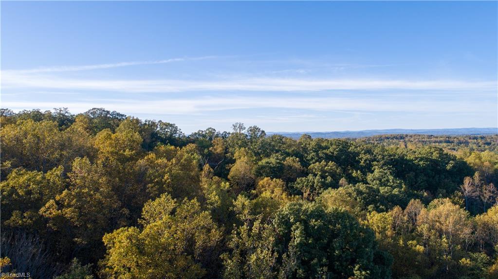 Tbd Old Winston Road Pinnacle, NC 27043 - Photo 4 of 7