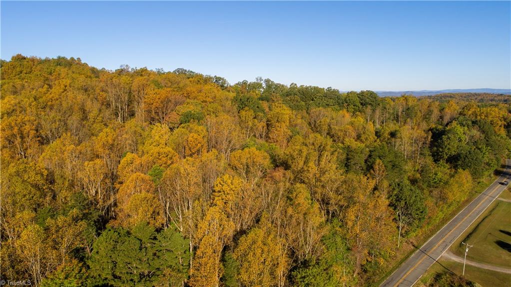 Tbd Old Winston Road Pinnacle, NC 27043 - Photo 5 of 7