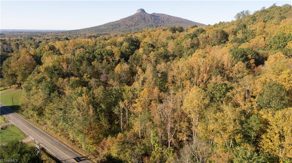 Tbd Old Winston Road Pinnacle, NC 27043 - Photo 6 of 7