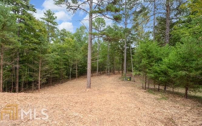 202 Seraph Pointe Road Lavonia, GA 30553 - Photo 1 of 1