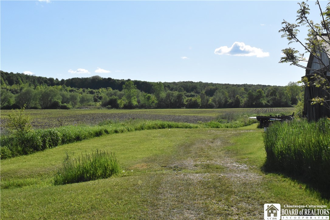 11580 Savage Road Sardinia, NY 14030 - Photo 3 of 29