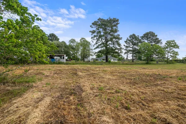 a view of yard with green space