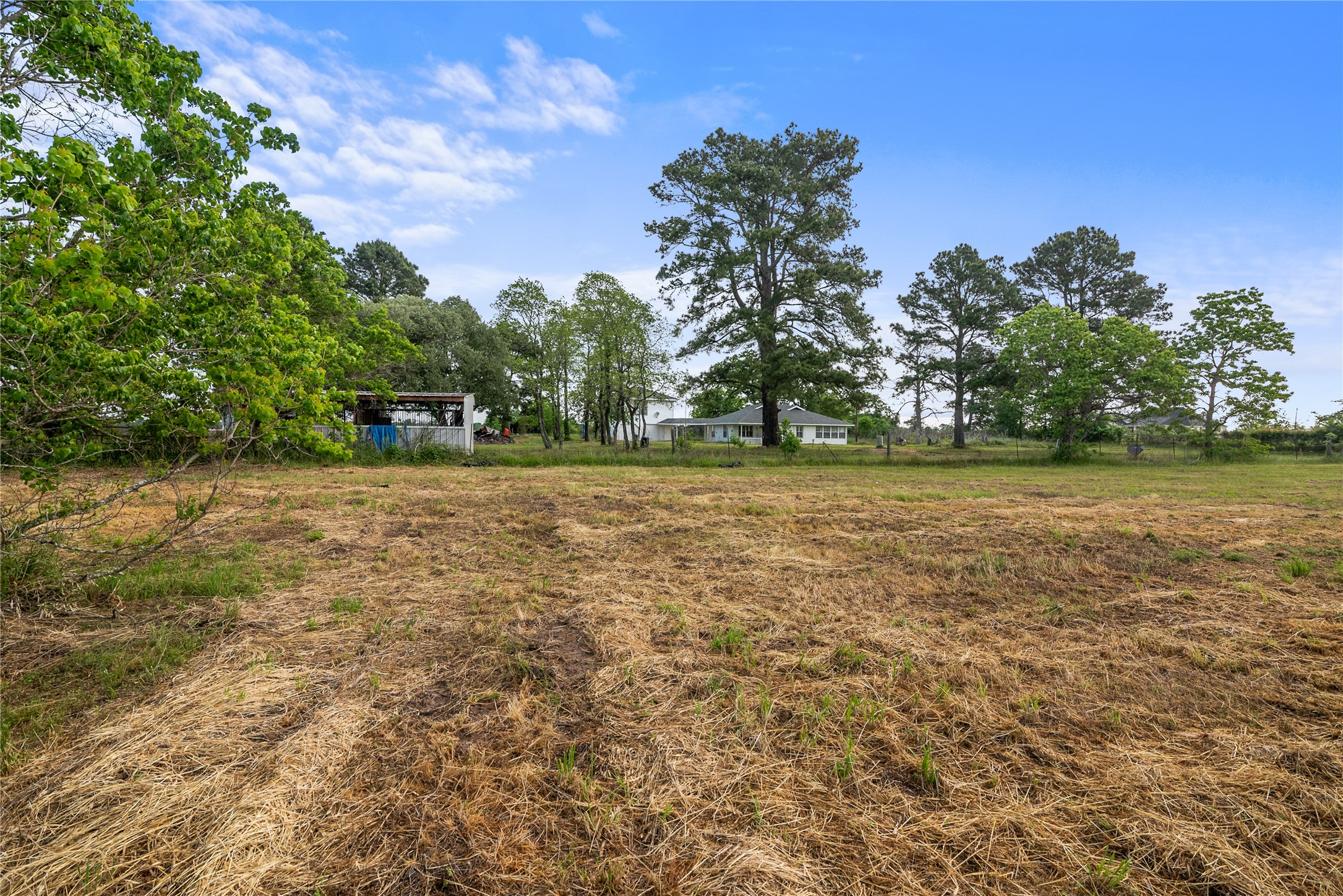 36622 Tompkins Road Hempstead, TX 77445 - Photo 42 of 46 a backyard of a house with lots of green space