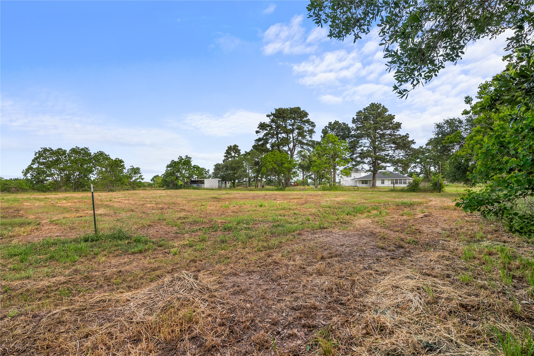 36622 Tompkins Road Hempstead, TX 77445 - Photo 43 of 46 a view of yard with green space
