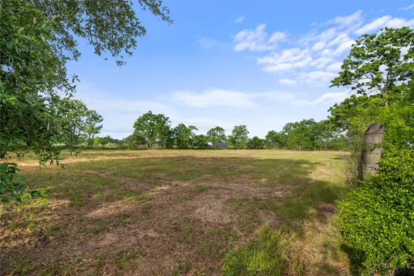 a view of a grassy field with trees