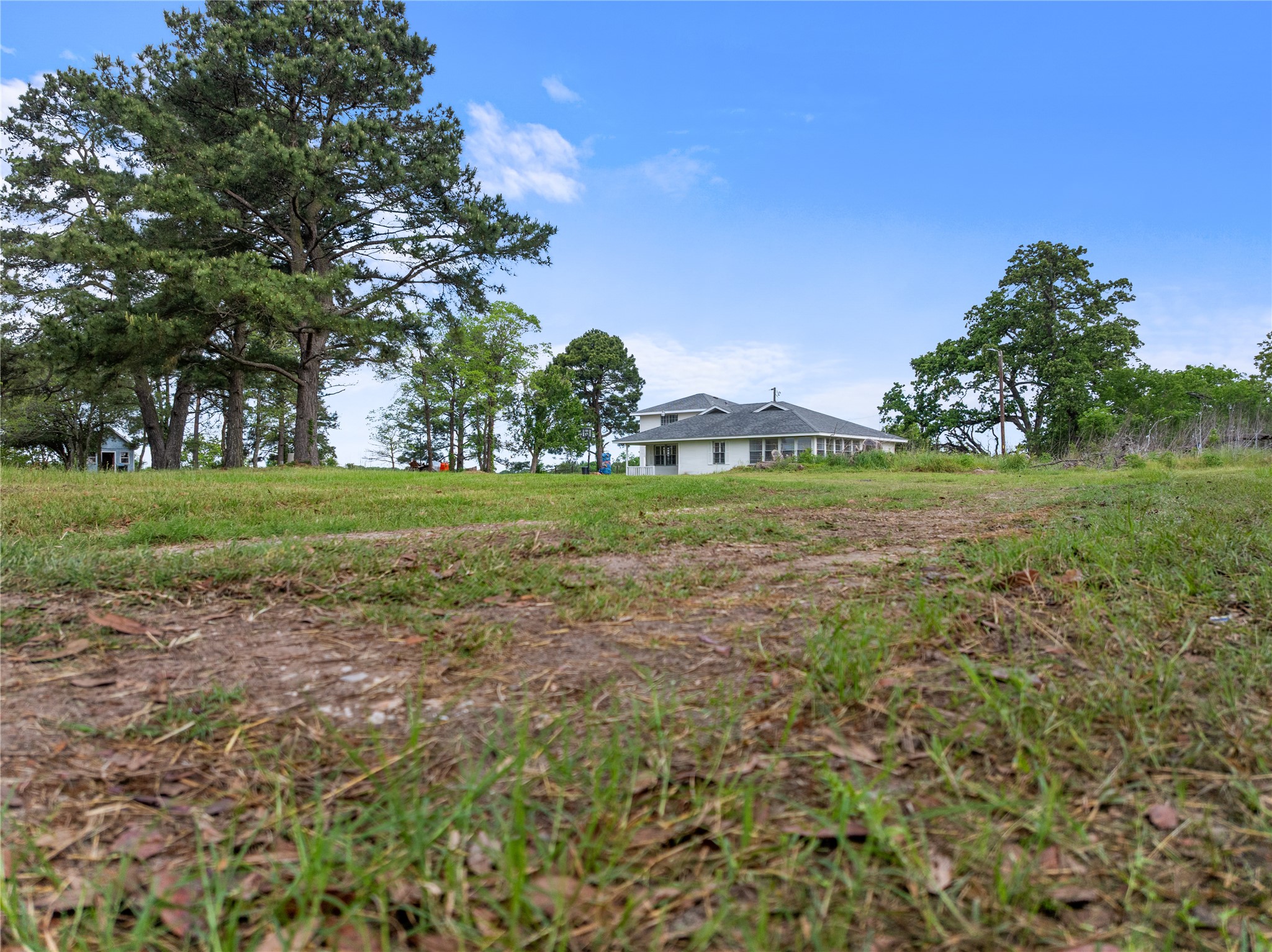 36622 Tompkins Road Hempstead, TX 77445 - Photo 46 of 46 a view of a grassy field with trees