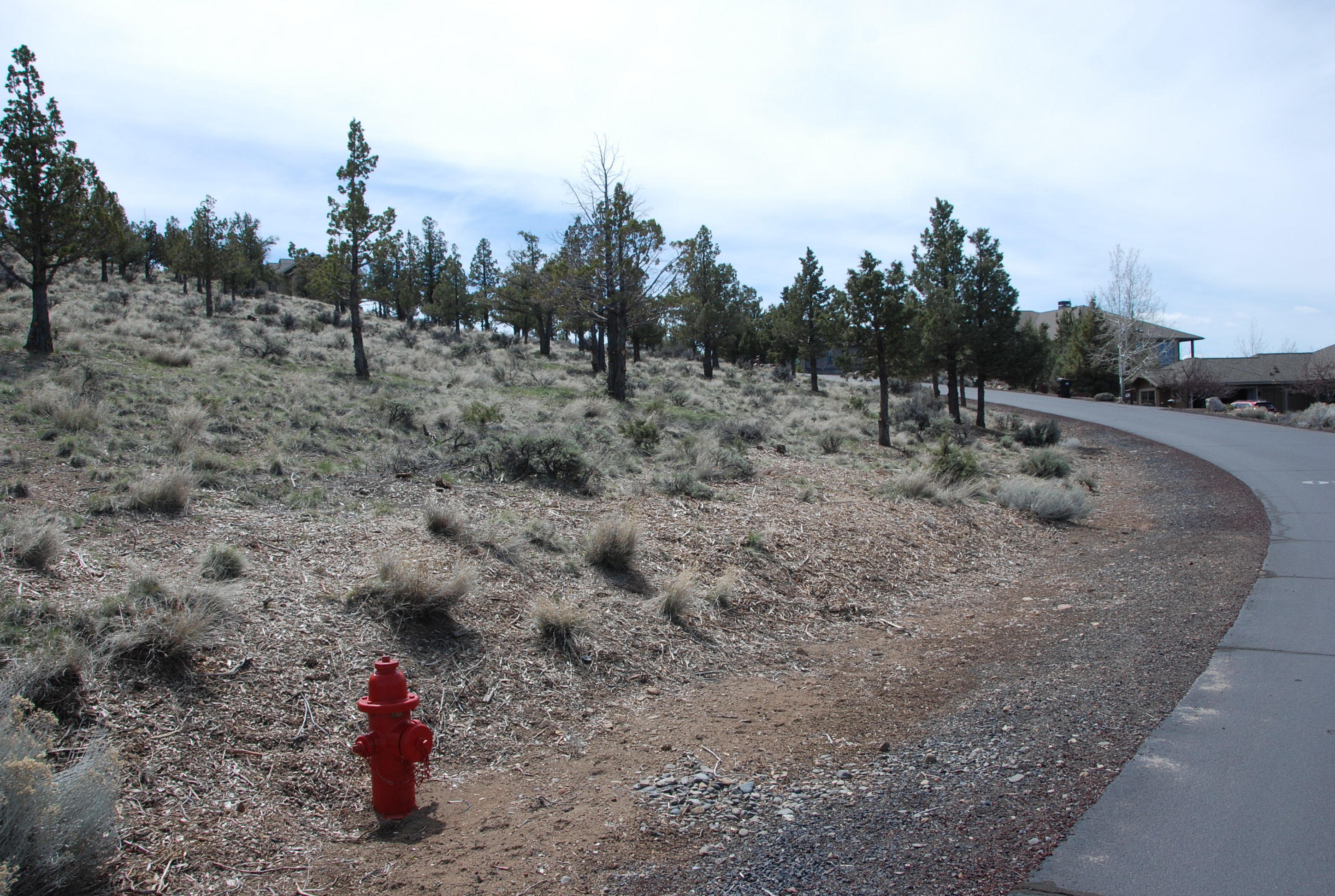 924 Highland View Loop Redmond, OR 97756 - Photo 3 of 8 DSC_5968