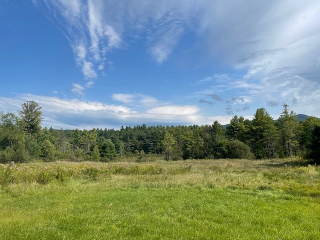 466 Valley Road Jay, NY 12941 - Photo 13 of 46 Gallery Image 13