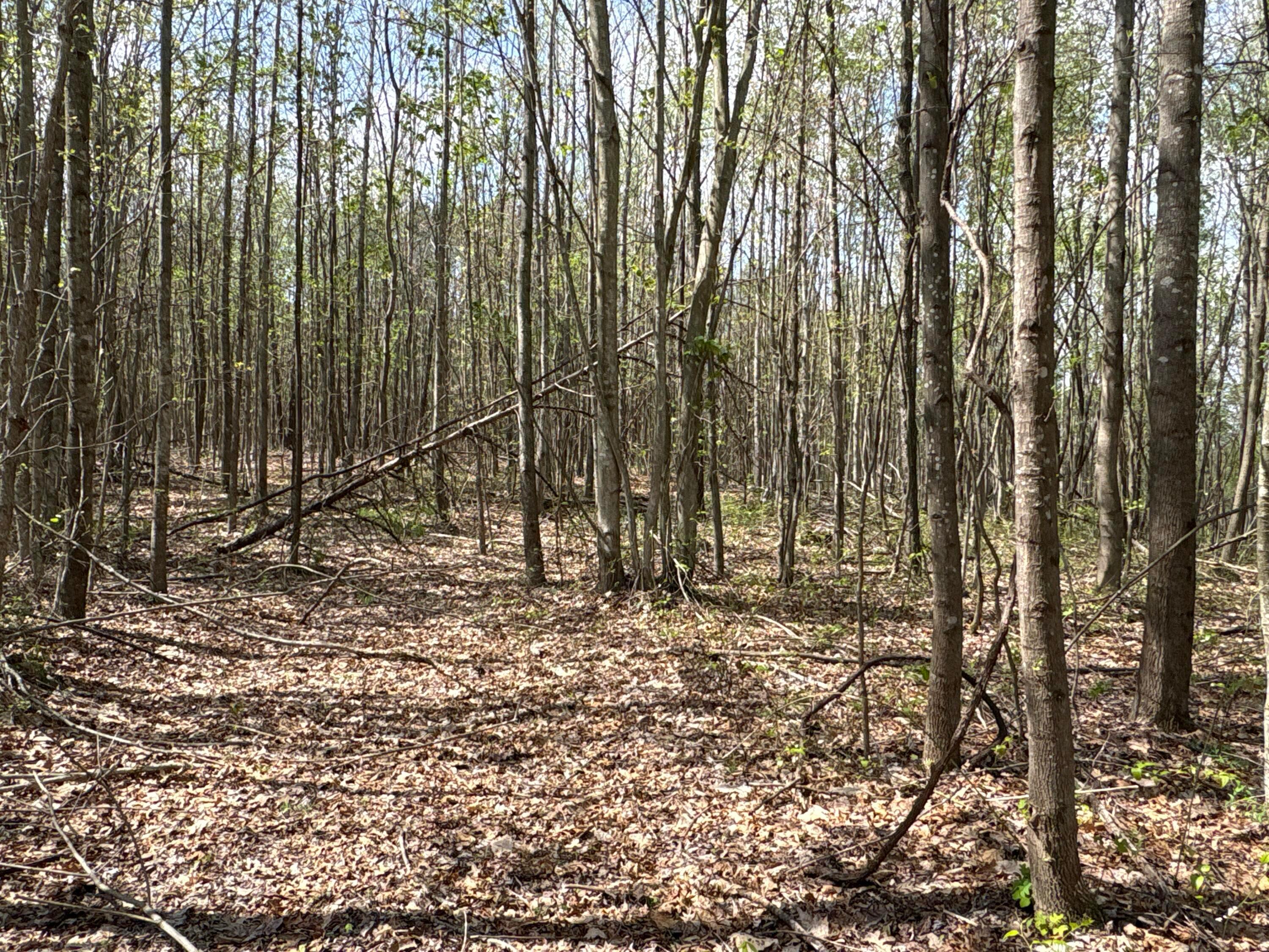 0 Pyle Road Lucasville, OH 45648 - Photo 26 of 26 pic 18-2