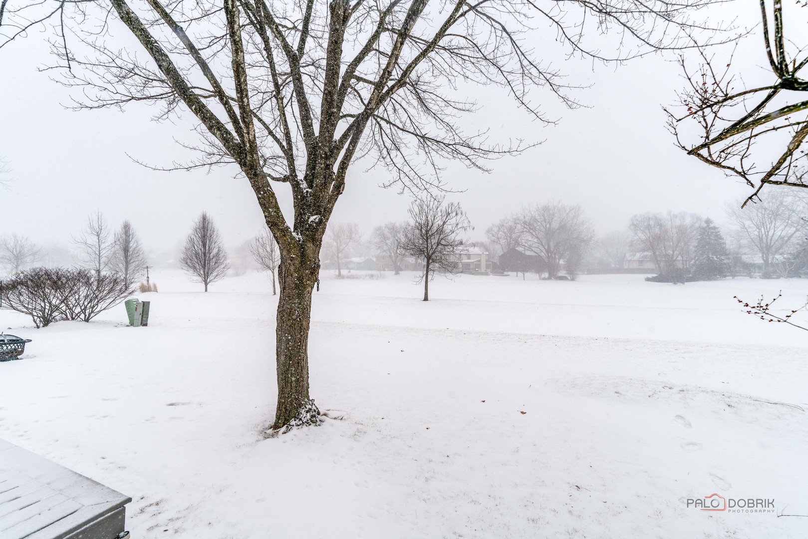 4990 Rochester Drive Hoffman Estates, IL 60010 - Photo 25 of 33