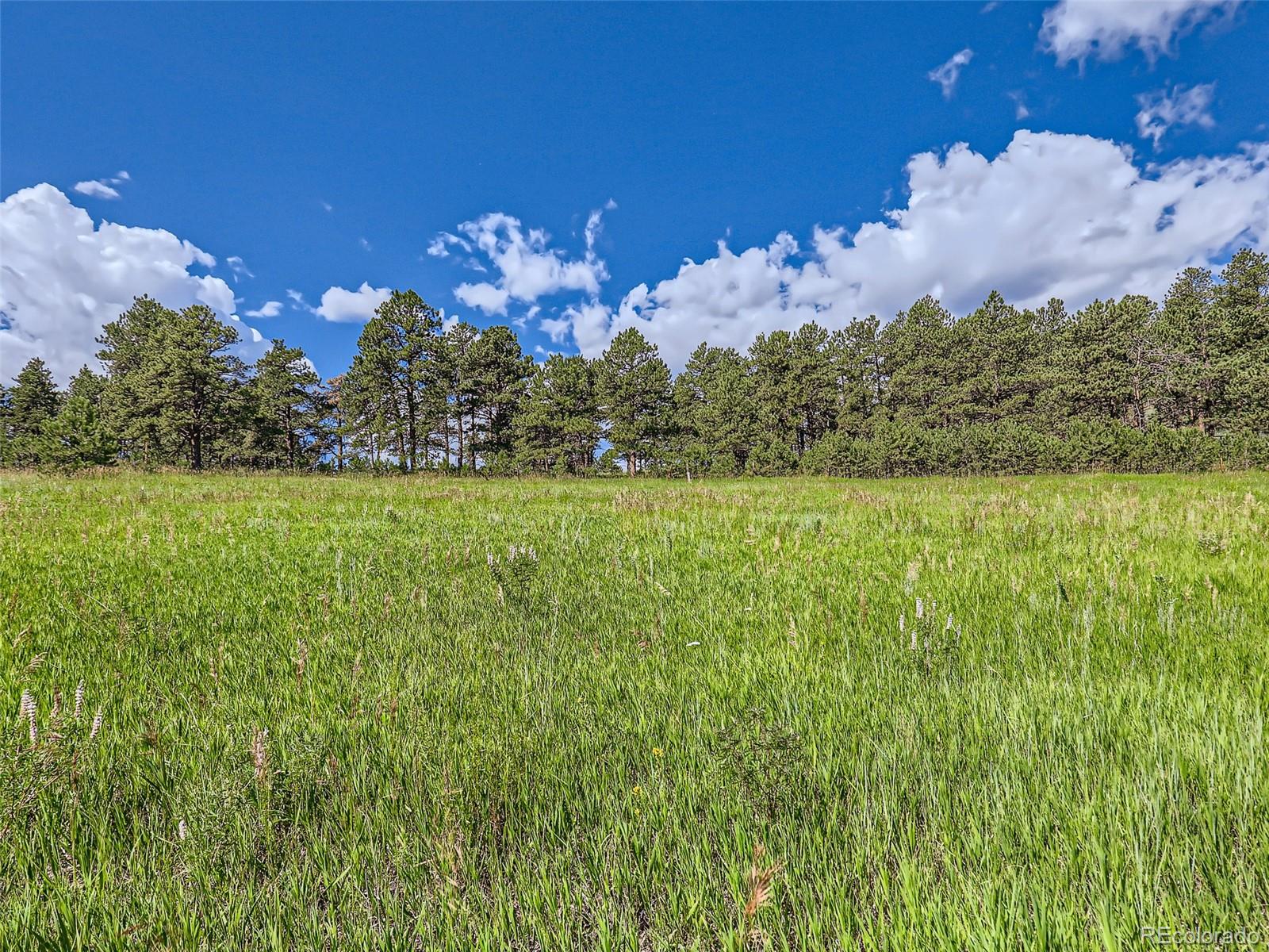 2117 Wieler Road Evergreen, CO 80439 - Photo 30 of 40 Gallery Image 30