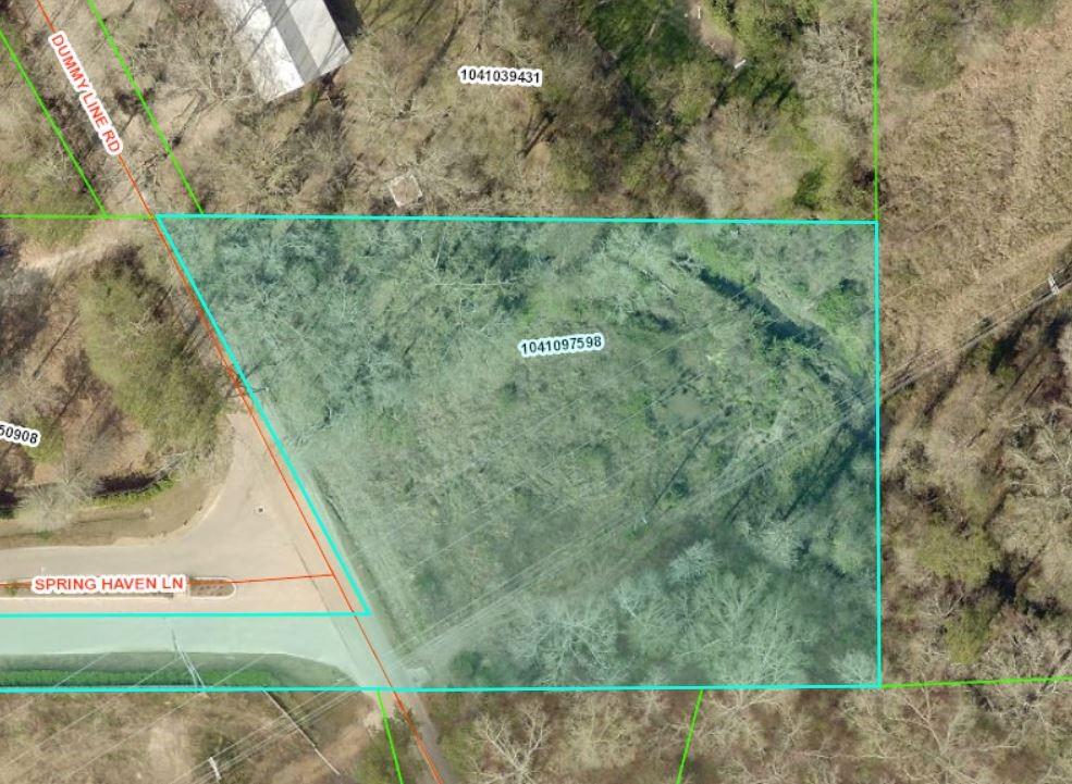 Tbd Dummyline Road Madisonville, LA 70447 - Photo 1 of 2 Gallery Image 1