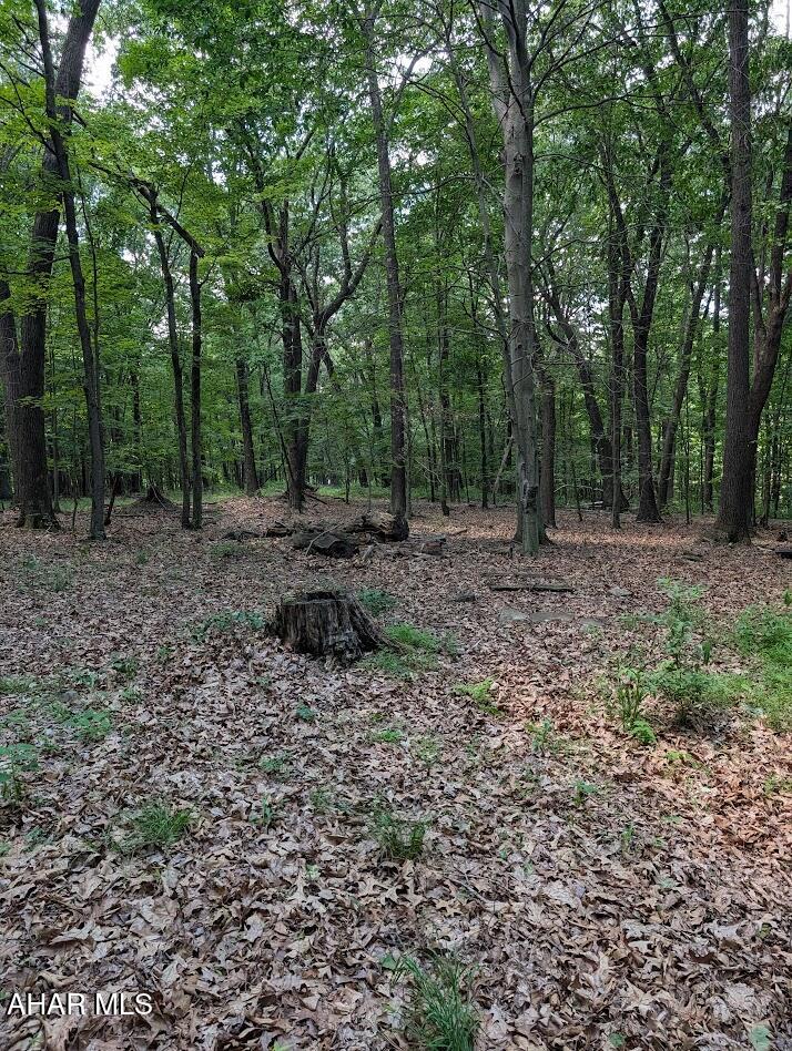 0 Mosquito Hollow Road Six Mile Run, PA 16679 - Photo 20 of 29