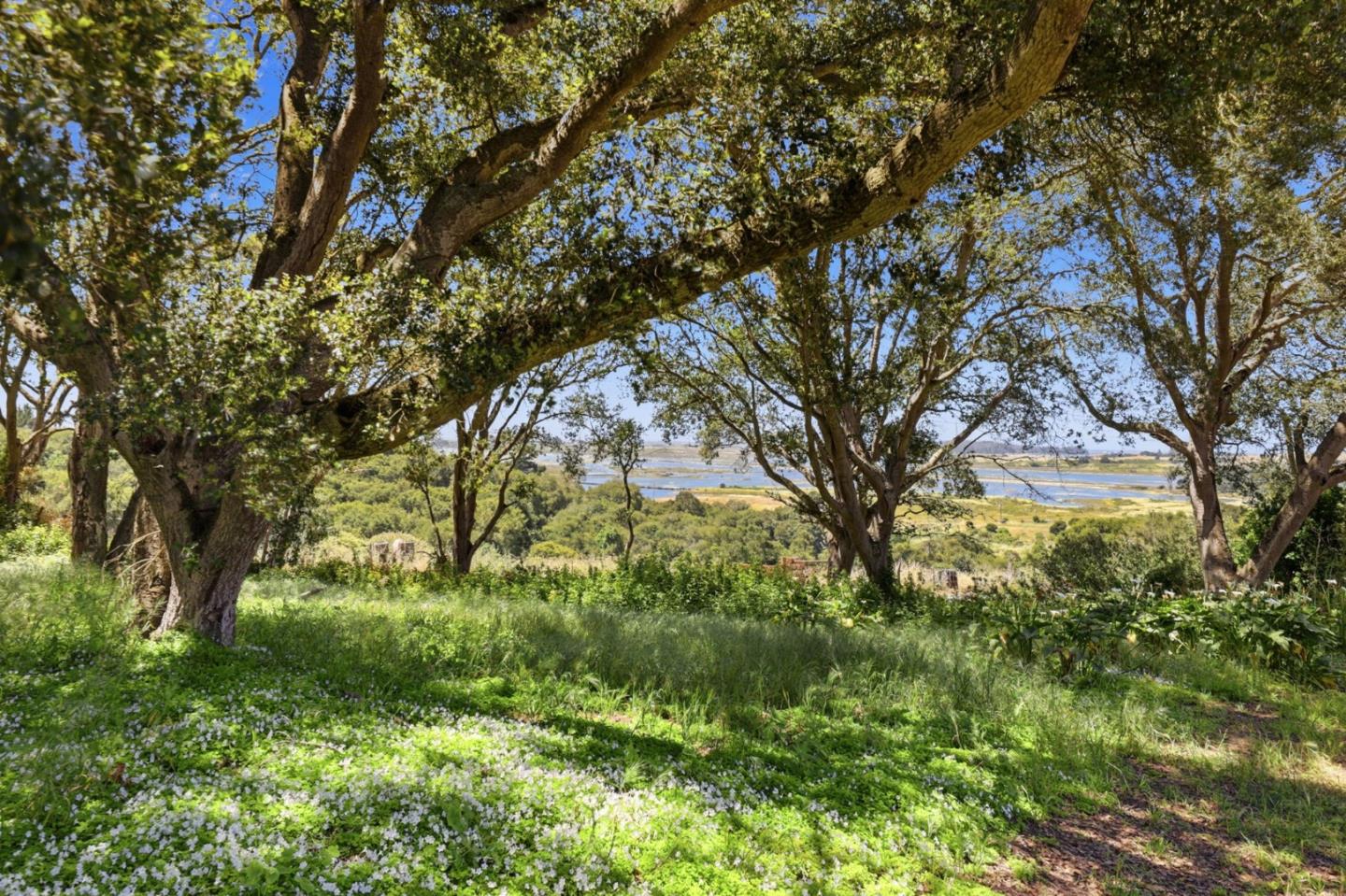 1443 Elkhorn Road Watsonville, CA 95076 - Photo 37 of 41