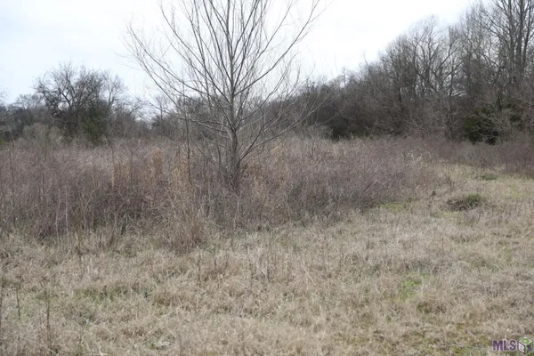 $250,000 | 0 East Academy Street, Canton, MS 39046