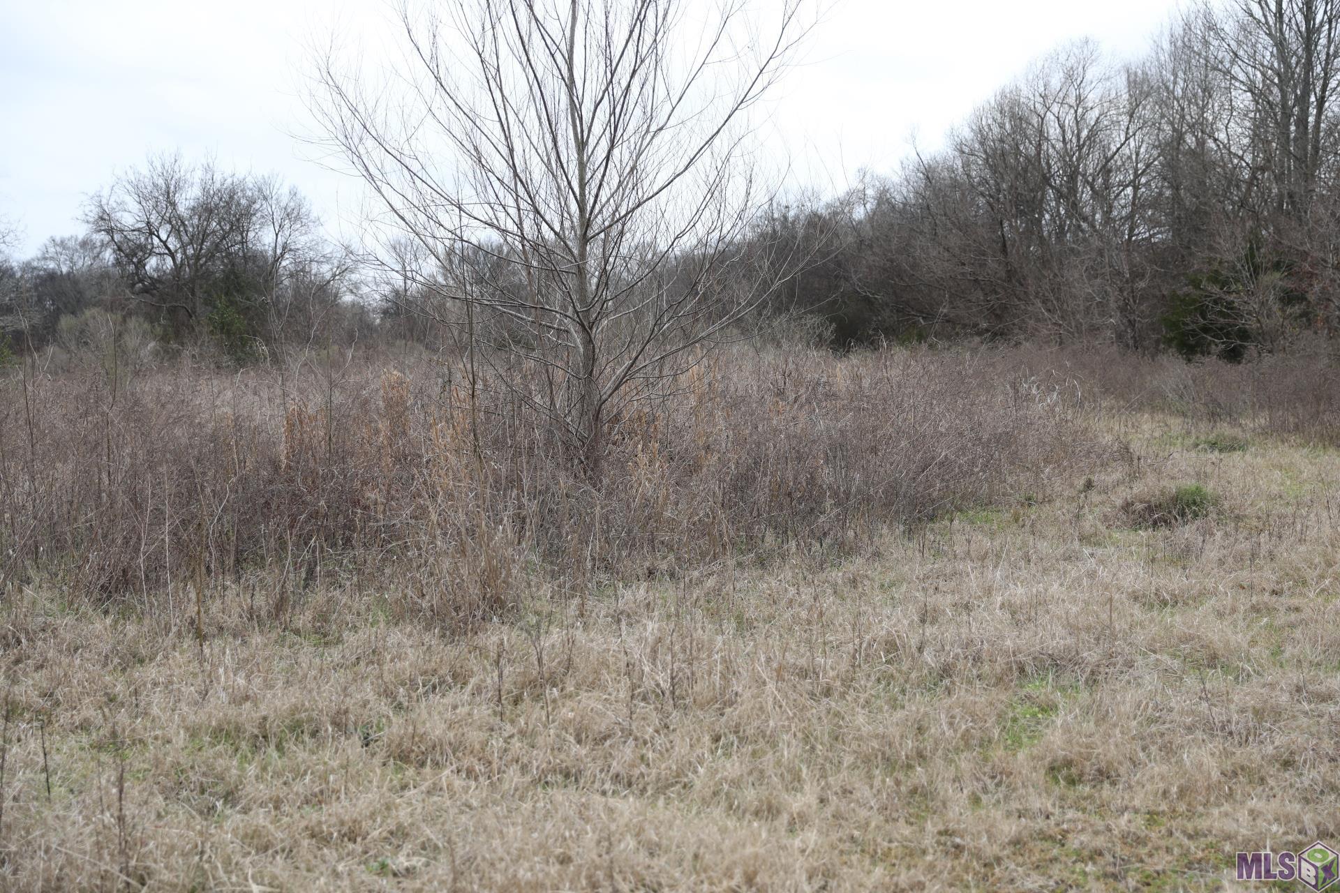 0 East Academy Street Canton, MS 39046 - Photo 4 of 8