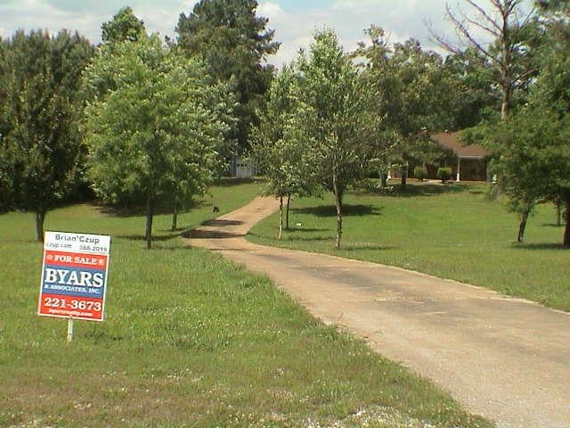 432 Radiant City Road Nauvoo, AL 35578 - Photo 10 of 15 Gallery Image 10