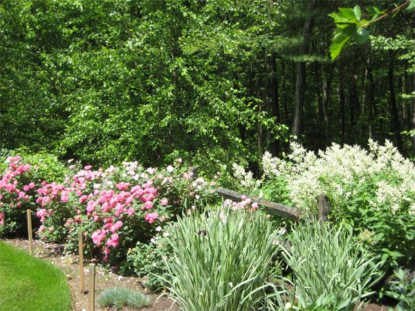 160 Pope Road Acton, MA 01720 - Photo 14 of 16