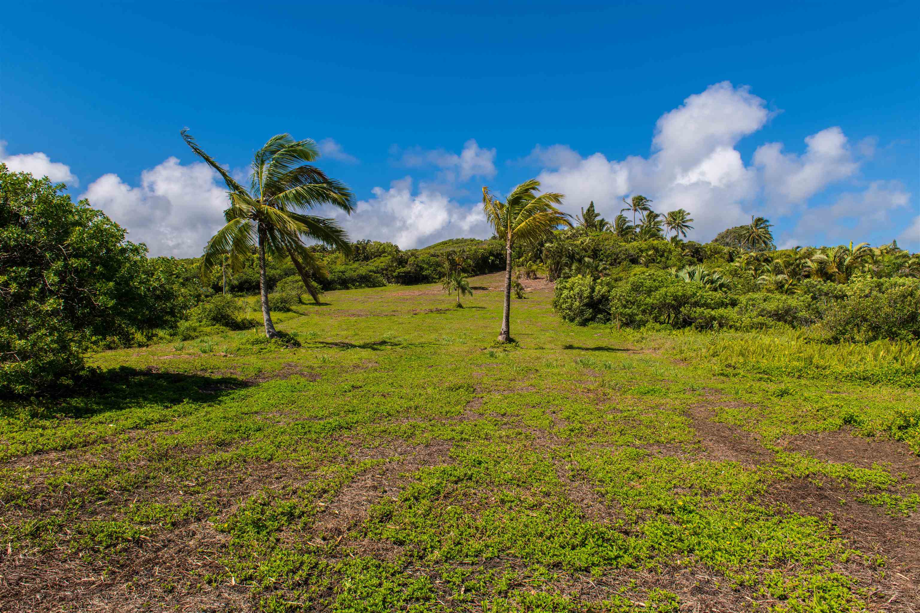 601 North Honokala Road, Unit A Haiku, HI 96708 - Photo 14 of 26