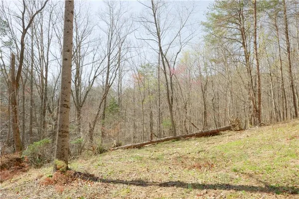 $164,900 | 0 Seven Island Road, Danbury, NC 27016
