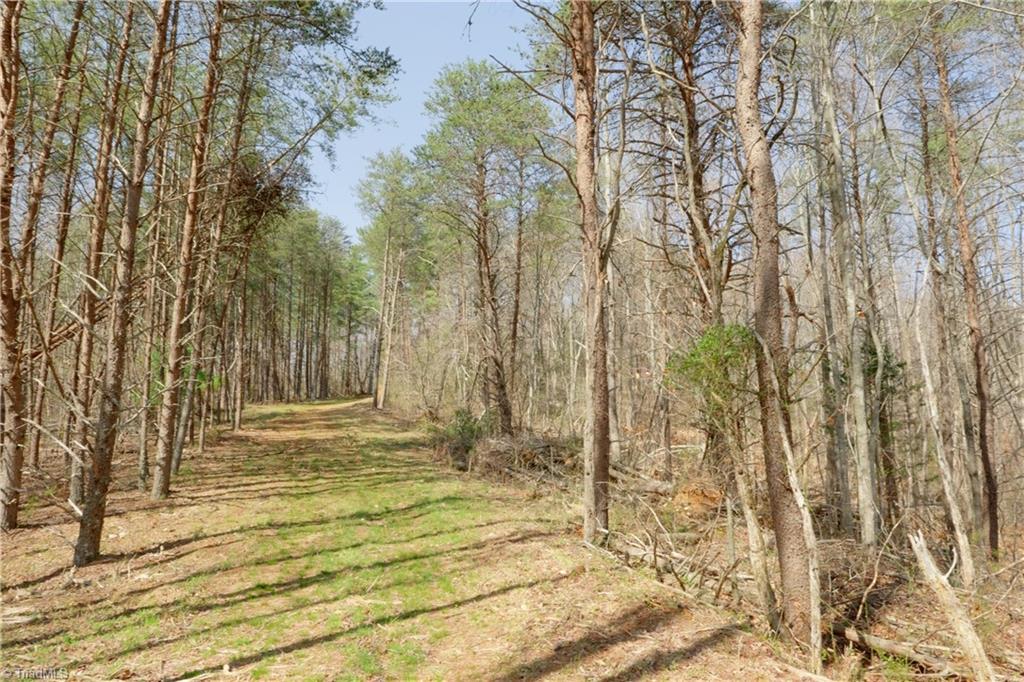 0 Seven Island Road Danbury, NC 27016 - Photo 11 of 41