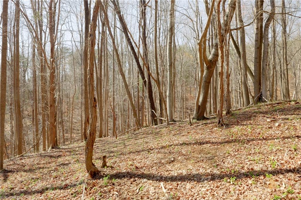 0 Seven Island Road Danbury, NC 27016 - Photo 12 of 41