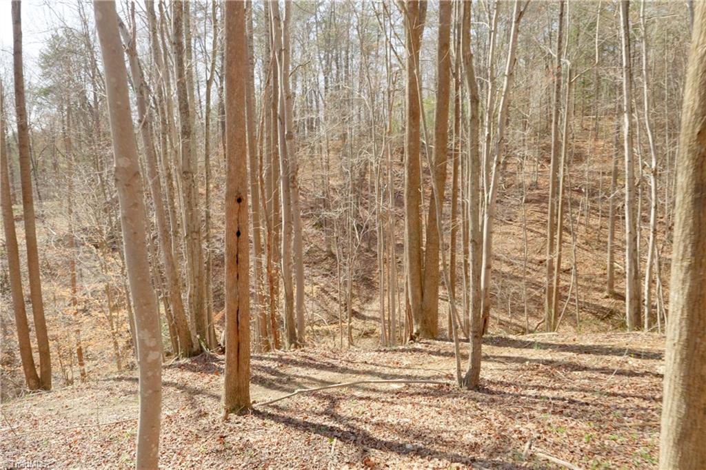 0 Seven Island Road Danbury, NC 27016 - Photo 13 of 41