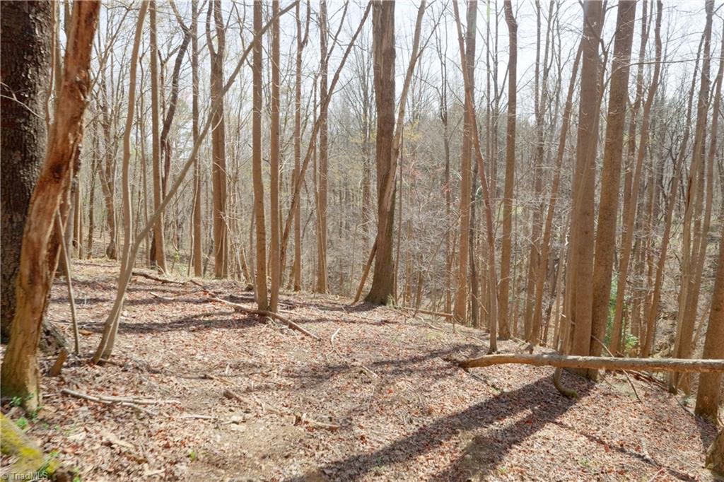 0 Seven Island Road Danbury, NC 27016 - Photo 14 of 41