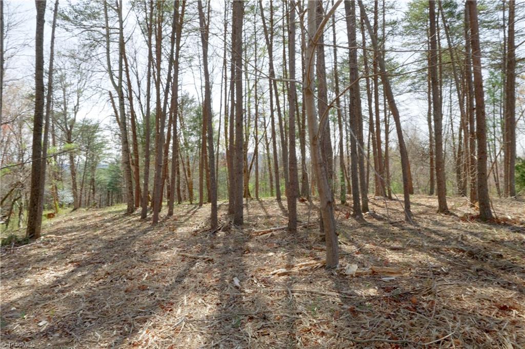 0 Seven Island Road Danbury, NC 27016 - Photo 17 of 41