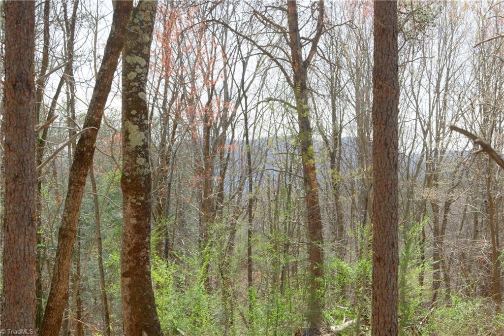 0 Seven Island Road Danbury, NC 27016 - Photo 18 of 41