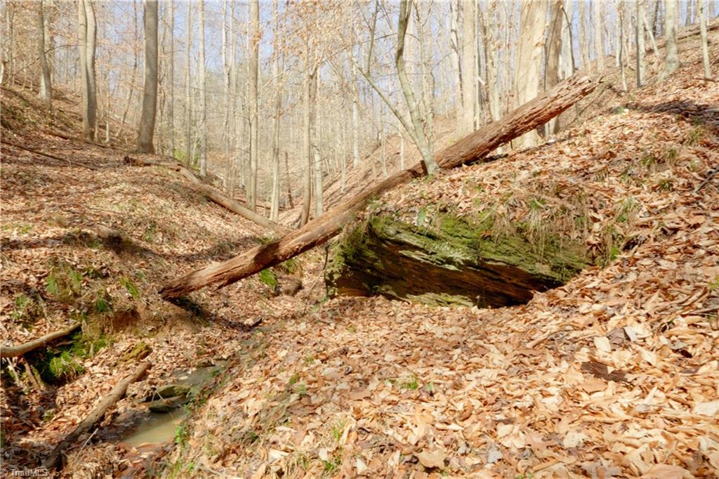 0 Seven Island Road Danbury, NC 27016 - Photo 2 of 41