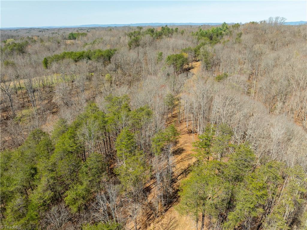 0 Seven Island Road Danbury, NC 27016 - Photo 22 of 41