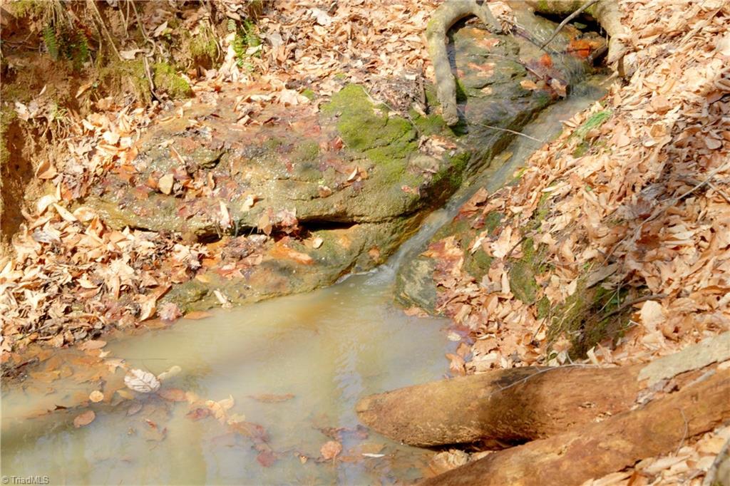 0 Seven Island Road Danbury, NC 27016 - Photo 3 of 41