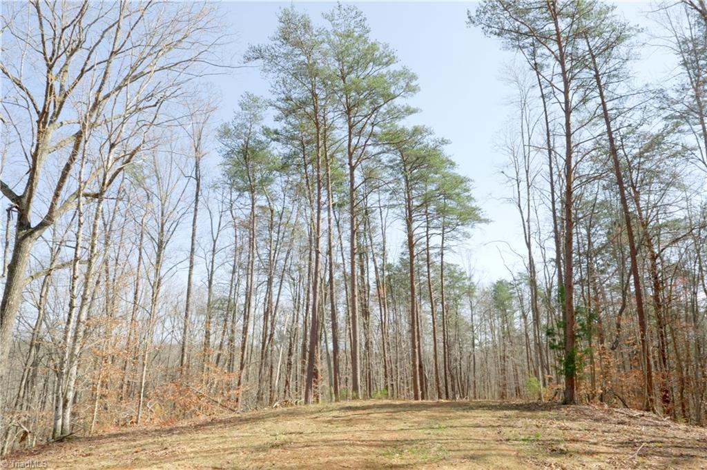 0 Seven Island Road Danbury, NC 27016 - Photo 5 of 41