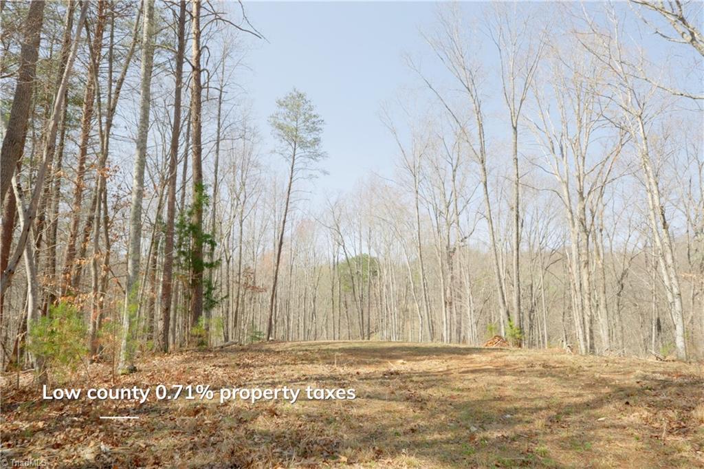 0 Seven Island Road Danbury, NC 27016 - Photo 7 of 41