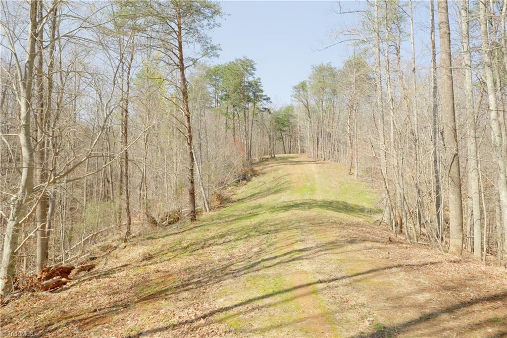 0 Seven Island Road Danbury, NC 27016 - Photo 8 of 41