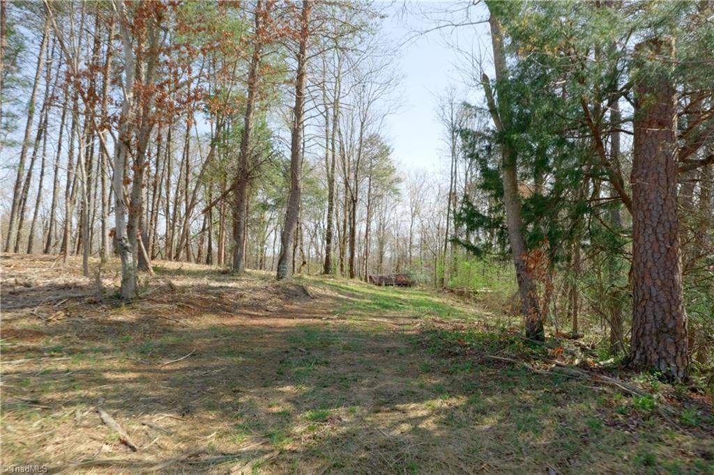 0 Seven Island Road Danbury, NC 27016 - Photo 9 of 41