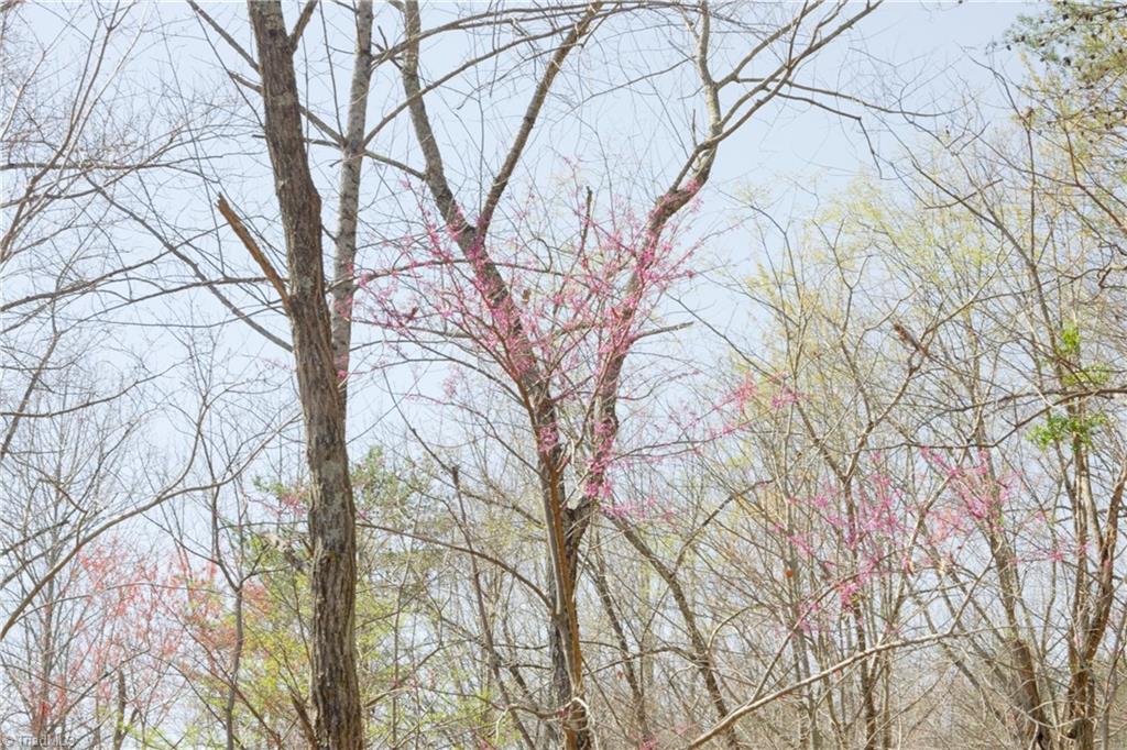 0 Seven Island Road Danbury, NC 27016 - Photo 10 of 41