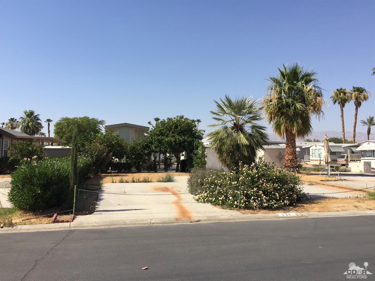 a palm tree sitting in front of a house with a big yard