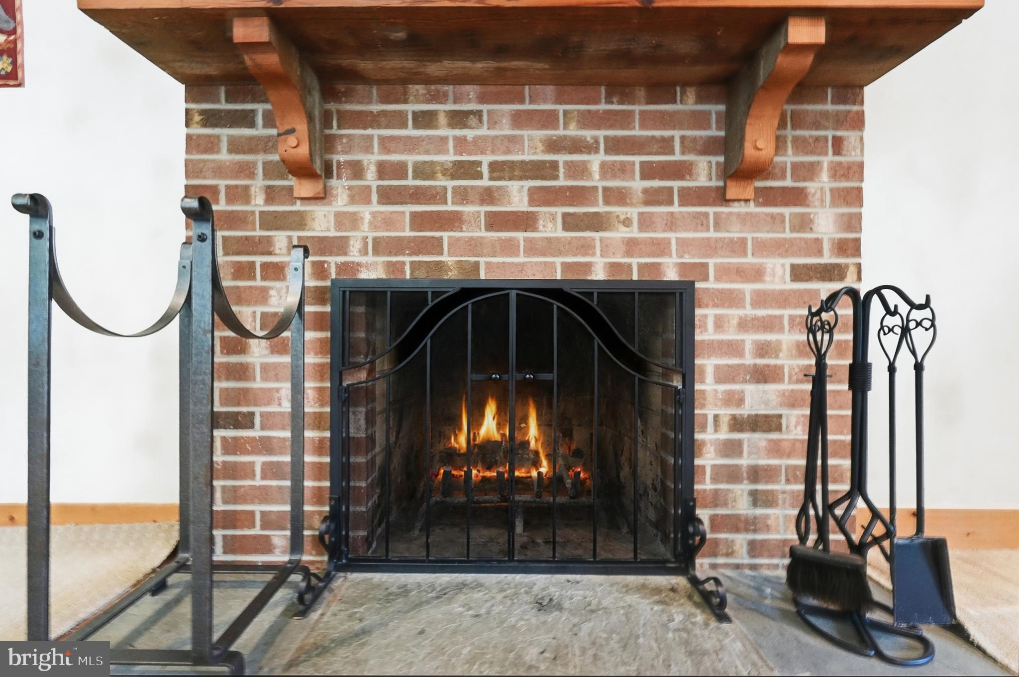 7237 Baldwin Ridge Road Warrenton, VA 20187 - Photo 11 of 63 Living room fire place