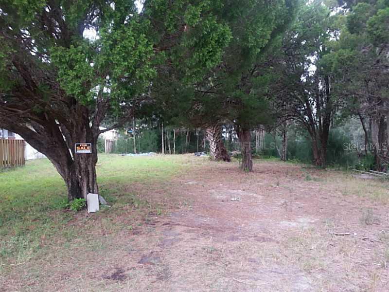 0 Rice Hudson, FL 34667 - Photo 1 of 1 Land/Lot