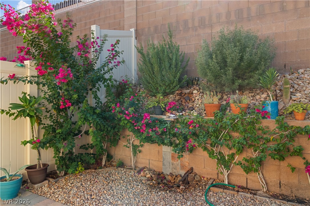 2269 Chandler Ranch Place Laughlin, NV 89029 - Photo 49 of 96 View of yard. " Mr Green Thumb" could live here and enjoy the variety of plants growing in the yard. Enjoy your own yard and space. Feel free to add your botanical touches to this beautiful yard.