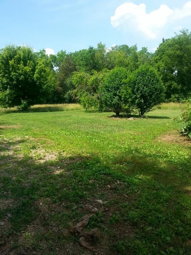 121 Green Park Road Philadelphia, TN 37846 - Photo 22 of 25 20150605_150835_resized